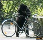 Фотография Стеценко Тараса