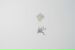  фотография #28