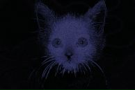 Фотография Gnezdov Alexander