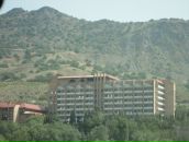 Оля Данилиха - папірник фотография #2 (источник - https://vk.com/id78377683)