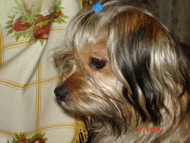 Иван Андреев фотография #24