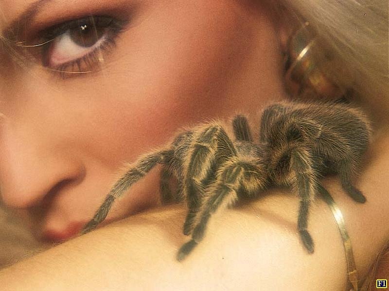 Елена Краснова фотография #35