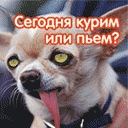 Саня Пірожок фотография #17 (источник - https://vk.com/id136852196)