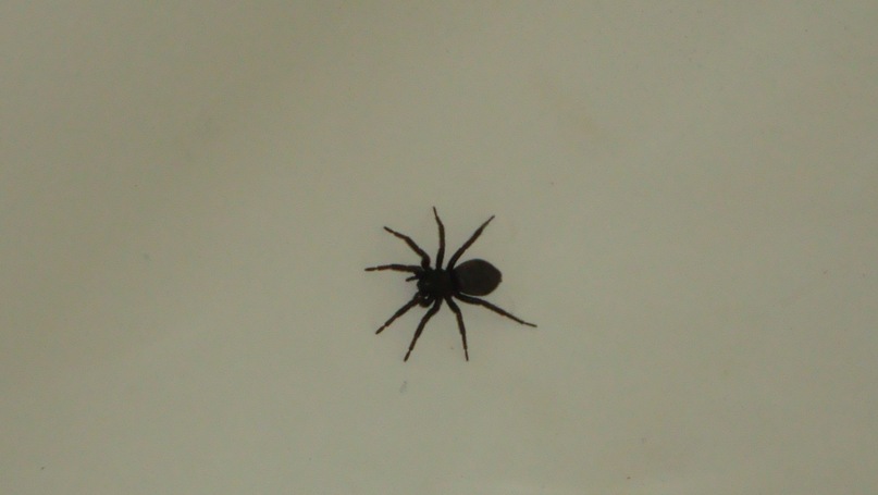 Иван Юрьевич фотография #19