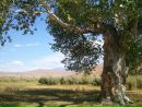 Павел Гурьев фотография #37 (источник - https://vk.com/id7016817)