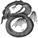 Фотография Любимченко Валерия