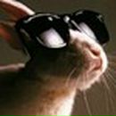 Фотография Yaroslavtsev Mikhail