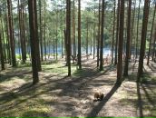 Фотография Глуховой Александры