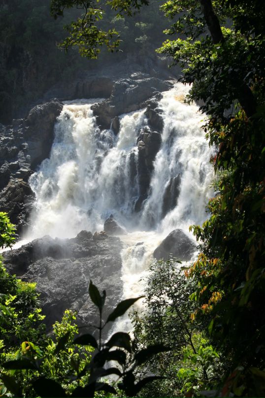 Дмитрий Венгерцев фотография #12