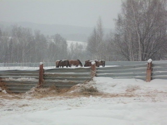 Антон Елгин фотография #12