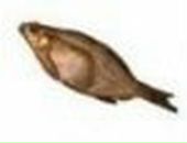 Андрій Семенюк фотография #10 (источник - https://vk.com/id41491799)