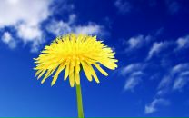 Фотография Кормачевой Ирины