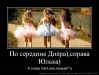  фотография #2