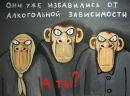 Фотография Кузьмина Глеба