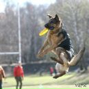 Фотография Петрова Владислава