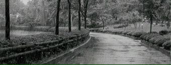 Фотография Толкачевой Оли