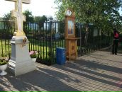 Фотография Голиковой Елены