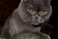 Фотография Бирюковой Полины