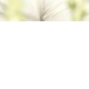 Ірина Тесля фотография #6 (источник - https://vk.com/id144872839)