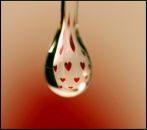 Фотография Степановой Елены