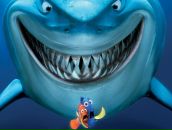 Фотография Хохлова Романа