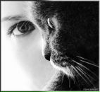 Фотография Моисеевой Татьяны