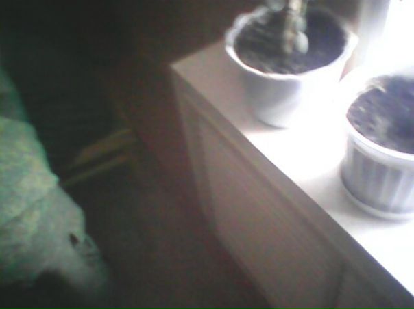 Иван Трункин фото №1