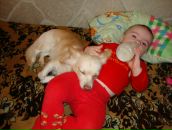 Фотография Густыр Александры