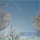 Фотография Кучерявенко Дмитрия