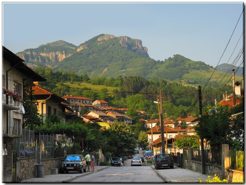 Цецко Цецко фотография #25