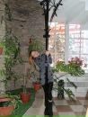 Фотография Ивановой Софии