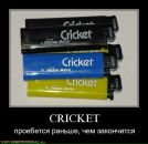 Роман Дреев фотография #21 (источник - https://vk.com/id97656734)