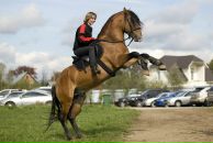 Фотография Орловой Анастасии