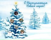 Андріана Бровко фотография #11 (источник - https://vk.com/id82156394)