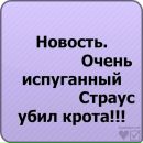 Роман Іллюк фотография #27 (источник - https://vk.com/id75688151)