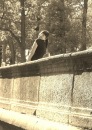 Фотография Бобоевой Камилы