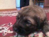 Фотография Рябовой Натальи