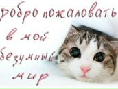 Фотография Матияша Андрея