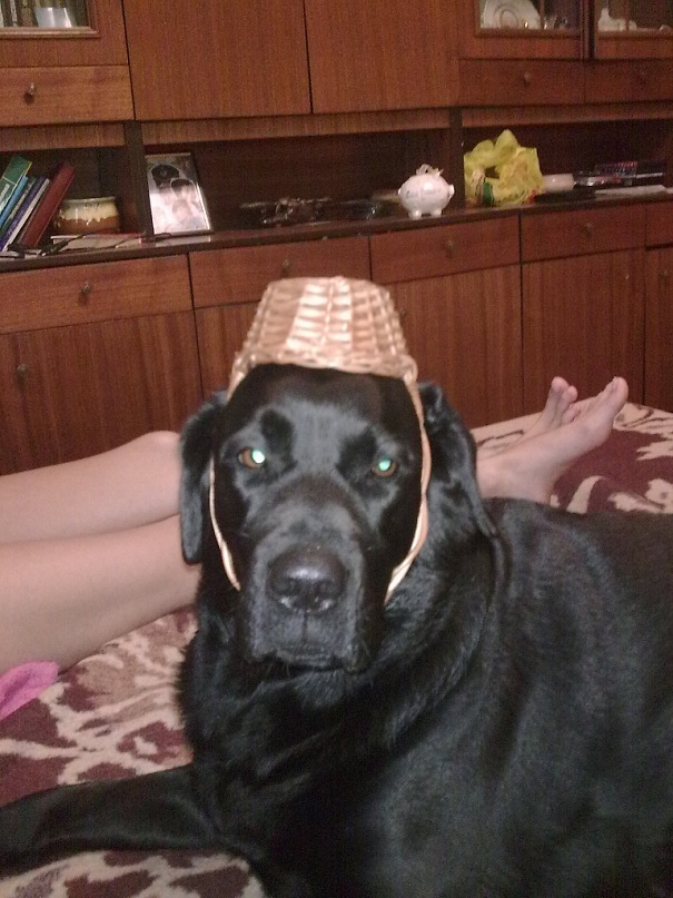 Андрей Студнев фотография #38