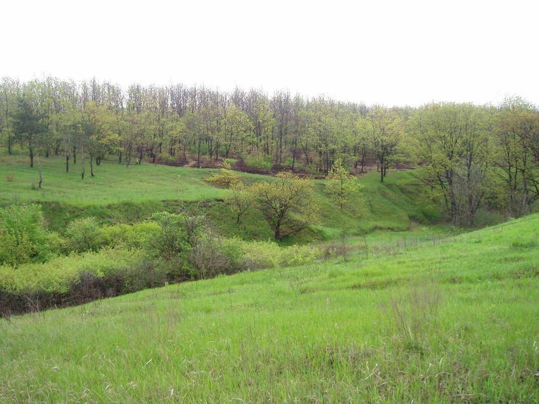 Иван Федотов фотография #17