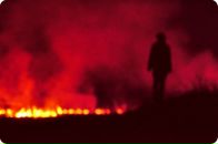 Фотография Ванина Андрея