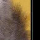 Христина Якімець-Максимяк фотография #31 (источник - https://vk.com/id21782638)