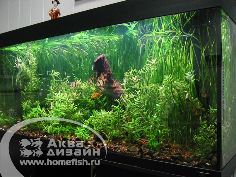 Сережа Бащенко фотография #3