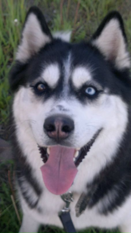 Денис Линник фотография #39