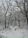 Фотография Копыловой Ирины