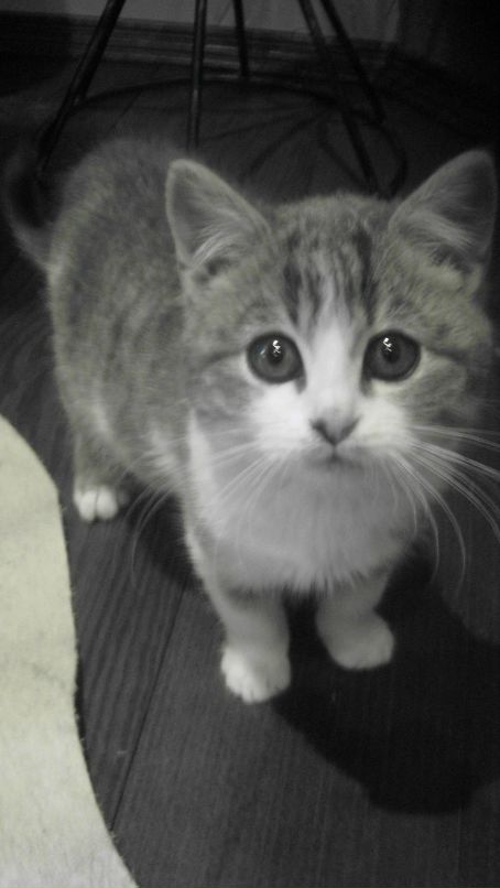 Mr Norbert фотография #19