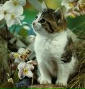 Джекі Чан фотография #40 (источник - https://vk.com/id169747461)