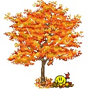 Фотография Иванова Сергея