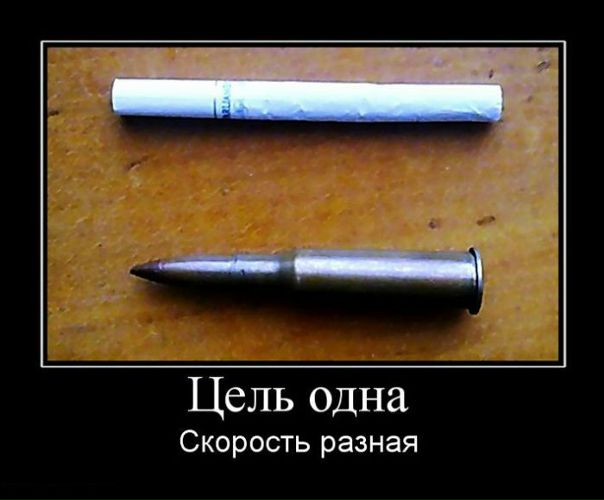 Саша Олейник фото №10