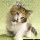 Фотография Богачёвой Екатерины